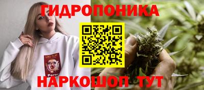 mdma Аргун