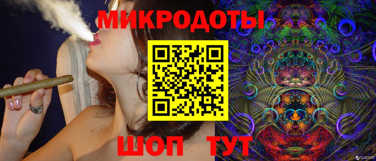 Псилоцибиновые грибы Psilocybe Балашиха