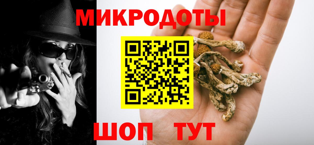 Псилоцибиновые грибы Cubensis  Вход с VPN  Балашиха 